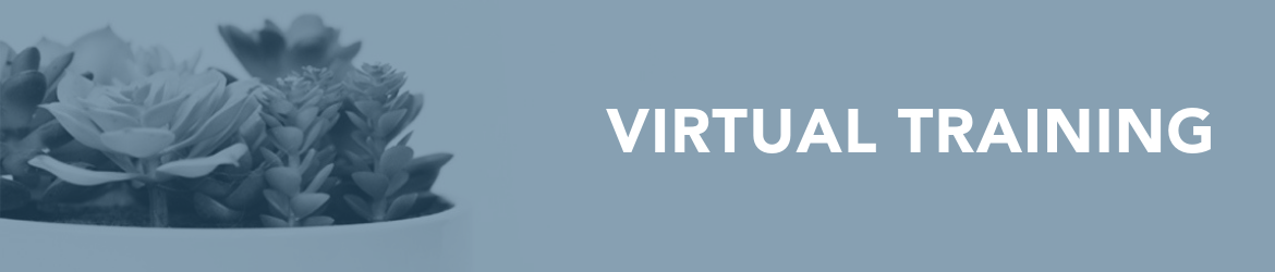 VIRTUAL TRAINING VIRTUAL TRAINING